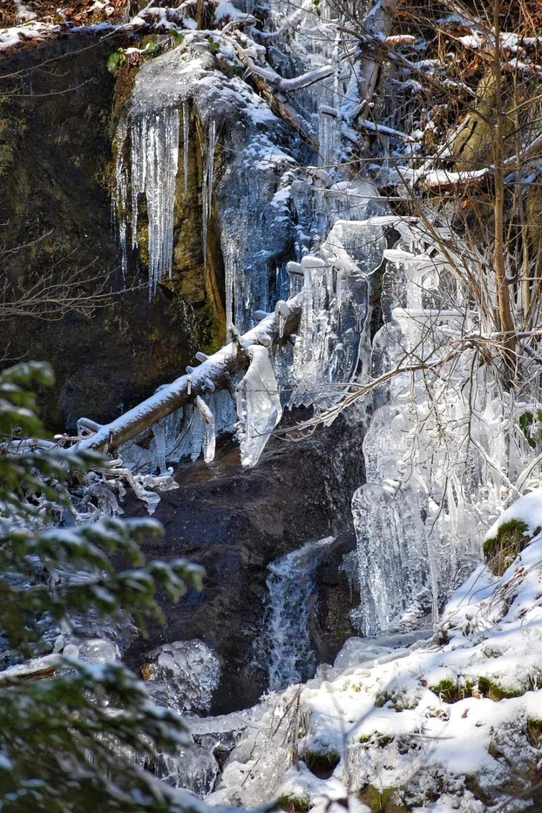 Auberge La Tete En L'Air Le Hohwald Exteriör bild
